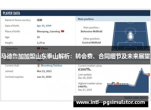 马德鲁加加盟山东泰山解析：转会费、合同细节及未来展望