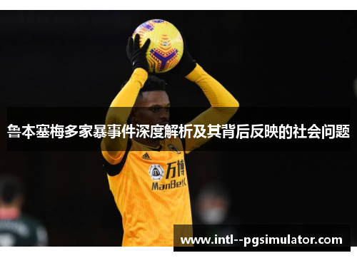 鲁本塞梅多家暴事件深度解析及其背后反映的社会问题 鲁本塞梅多家暴事件深度解析及其背后反映的社会问题