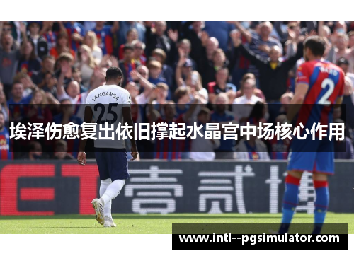 埃泽伤愈复出依旧撑起水晶宫中场核心作用 埃泽伤愈复出依旧撑起水晶宫中场核心作用