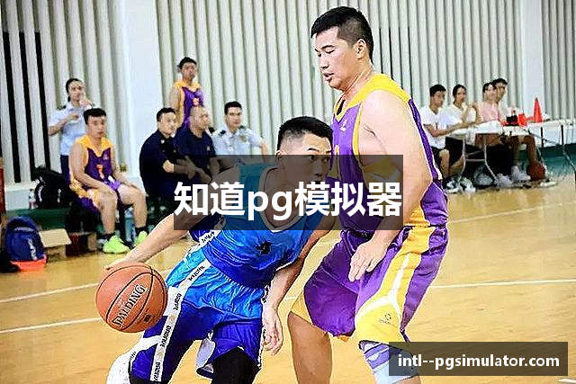 知道pg模拟器